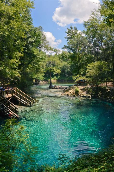 Live Streaming HD Webcam of Blue Spring State Park, USA